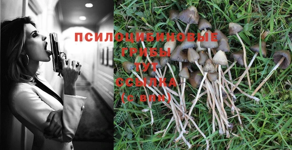 гидропоника Баксан