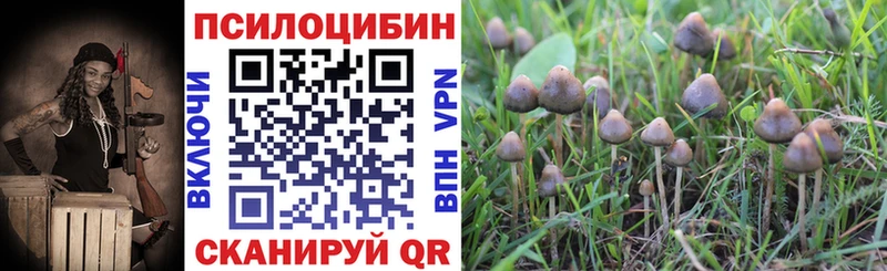 Псилоцибиновые грибы прущие грибы  где можно купить   Белая Калитва 