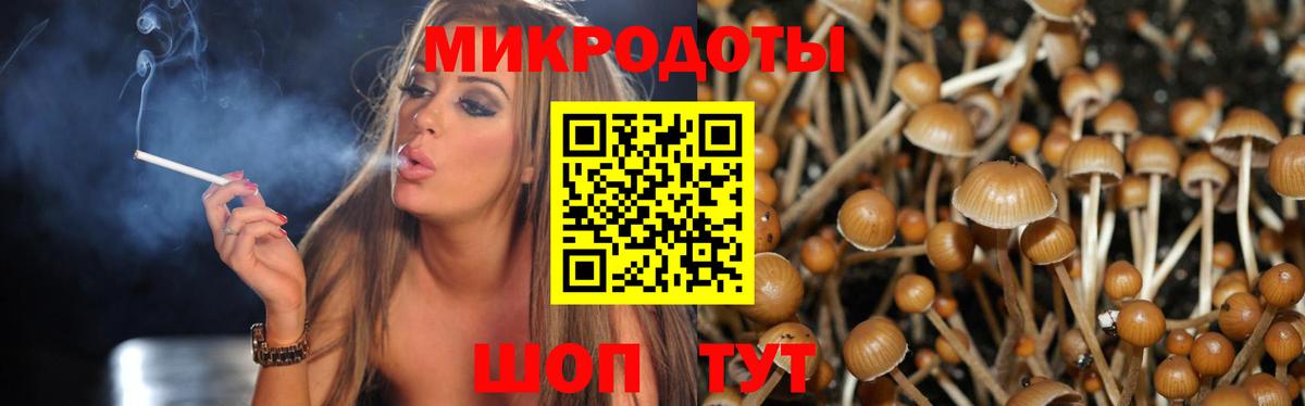 Псилоцибиновые грибы прущие грибы Белая Калитва
