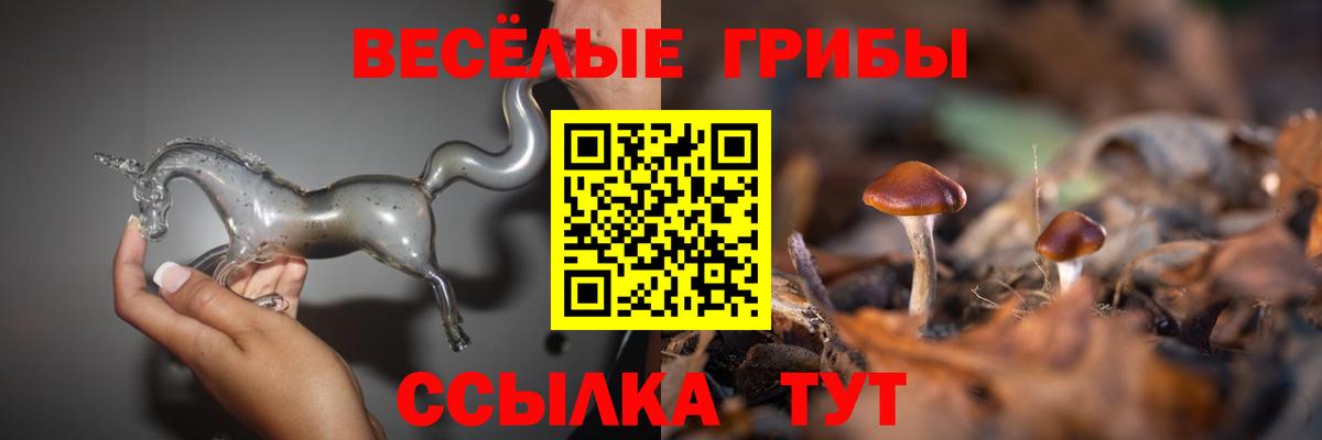 Белая Калитва  Псилоцибиновые грибы MAGIC MUSHROOMS  Вход с VPN  Псилоцибиновые грибы Psilocybine cubensis 